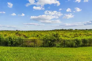 8936 Sanders Tree Loop, Wesley Chapel, FL 33545 - Photo 85