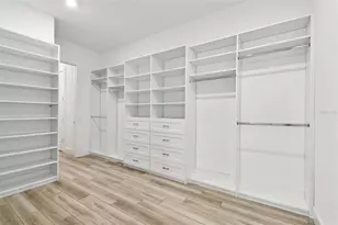 8936 Sanders Tree Loop, Wesley Chapel, FL 33545 - Photo 45