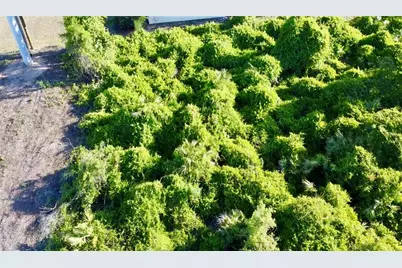 1190 9th Avenue, Deland, FL 32724 - Photo 29