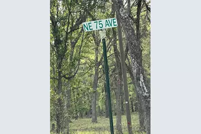 0000 NE 125th Street, Bronson, FL 32621 - Photo 3