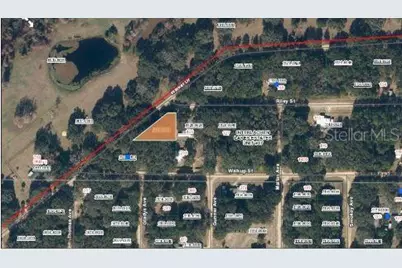 Riley Street, Interlachen, FL 32148 - Photo 5