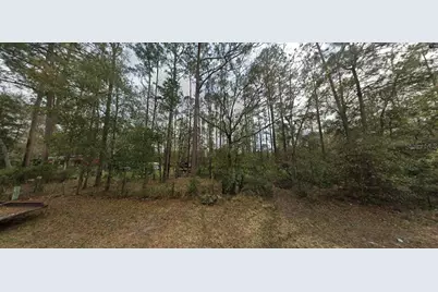 Riley Street, Interlachen, FL 32148 - Photo 7