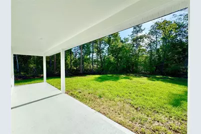 8071 N Primrose Drive, Citrus Springs, FL 34434 - Photo 9