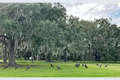 3650 Lake Tohopekaliga Road, Saint Cloud, FL 34772 - Photo 19