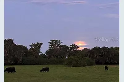 3650 Lake Tohopekaliga Road, Saint Cloud, FL 34772 - Photo 15