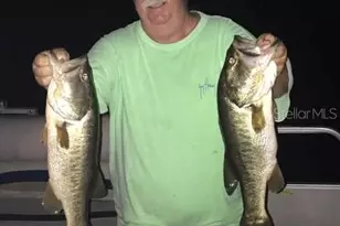 348 Georgetown Dr, Casselberry, FL 32707 - Photo 57