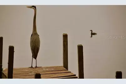 348 Georgetown Drive #348, Casselberry, FL 32707 - Photo 53