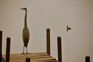 348 Georgetown Dr, Casselberry, FL 32707 - Photo 53