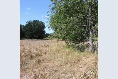 Maricamp Road, Ocklawaha, FL 32179 - Photo 11