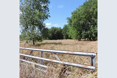 Maricamp Road, Ocklawaha, FL 32179 - Photo 13