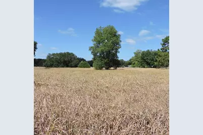 Maricamp Road, Ocklawaha, FL 32179 - Photo 17