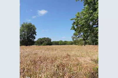 Maricamp Road, Ocklawaha, FL 32179 - Photo 23