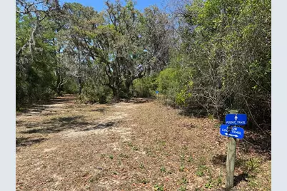 3182 Sailing Pier Avenue, Winter Garden, FL 34787 - Photo 69