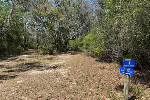 3182 Sailing Pier Ave, Winter Garden, FL 34787 - Photo 69