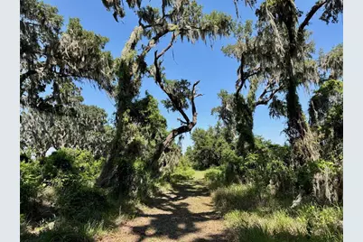 3182 Sailing Pier Avenue, Winter Garden, FL 34787 - Photo 71