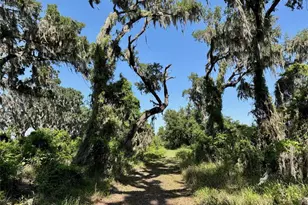 3182 Sailing Pier Ave, Winter Garden, FL 34787 - Photo 71