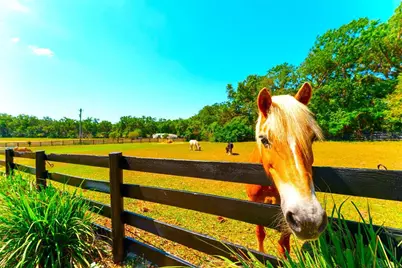 35841 Timbertop Lane, Fruitland Park, FL 34731 - Photo 99