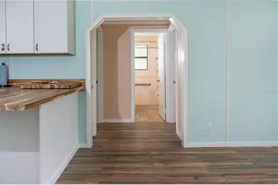 951 Cr 453, Lake Panasoffkee, FL 33538 - Photo 9