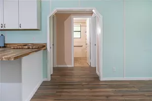 951 Co Rd 453, Lake Panasoffkee, FL 33538 - Photo 9