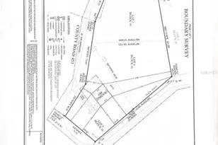 951 Co Rd 453, Lake Panasoffkee, FL 33538 - Photo 9