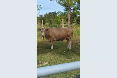 740 S Palomino Street, Clewiston, FL 33440 - Photo 39