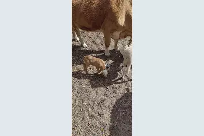 740 S Palomino Street, Clewiston, FL 33440 - Photo 43