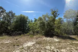 N/A SW 89th Terrace, Dunnellon, FL 34432 - Photo 1