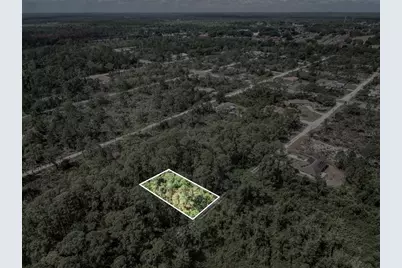 242 Condor Avenue, Sebring, FL 33870 - Photo 5