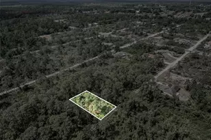 242 Condor Ave, Sebring, FL 33870 - Photo 5