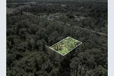 242 Condor Avenue, Sebring, FL 33870 - Photo 3