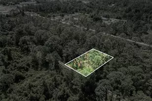 242 Condor Ave, Sebring, FL 33870 - Photo 3