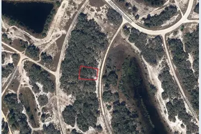 314 Dargen Drive, Lake Placid, FL 33852 - Photo 1