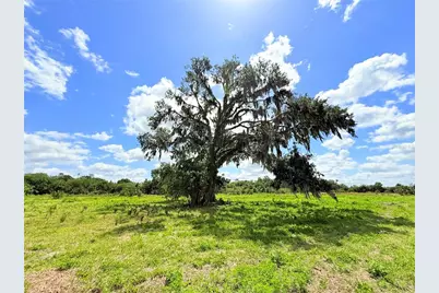 2170 Black Hammock Road, Oviedo, FL 32765 - Photo 21