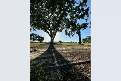 211 Broken Woods Boulevard, Davenport, FL 33837 - Photo 15