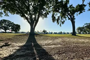 211 Broken Woods Blvd, Davenport, FL 33837 - Photo 15