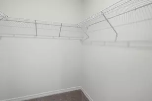 4497 Yaupon Holly Wy, Lakeland, FL 33811 - Photo 3