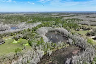 3939 Lake Erie Rd, Groveland, FL 34736 - Photo 61