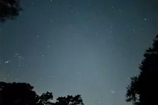 3939 Lake Erie Rd, Groveland, FL 34736 - Photo 67