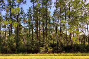 Ralston St, Orlando, FL 32833 - Photo 1