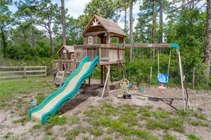 42368 W Cashew Ct, Eustis, FL 32736 - Photo 49