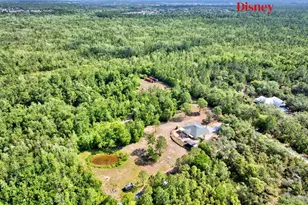 2478 Thacker Trail, Kissimmee, FL 34747 - Photo 45