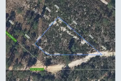 6115 Pear Blossom Street, Sebring, FL 33876 - Photo 1