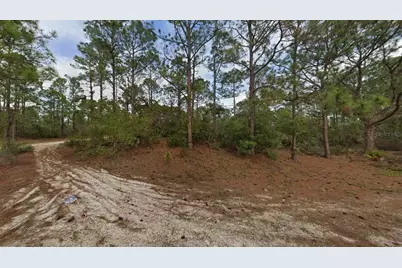 401 Wind Rose Avenue, Lake Placid, FL 33852 - Photo 7