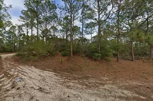 401 Wind Rose Ave, Lake Placid, FL 33852 - Photo 7