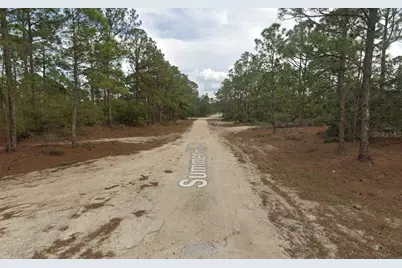 401 Wind Rose Avenue, Lake Placid, FL 33852 - Photo 5