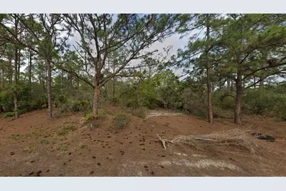 401 Wind Rose Avenue, Lake Placid, FL 33852 - Photo 7
