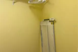 2348 Silver Palm, Kissimmee, FL 34747 - Photo 65