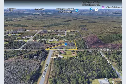 Dallas Boulevard, Orlando, FL 32833 - Photo 3