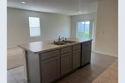 3009 Tansy Street, Tavares, FL 32778 - Photo 11