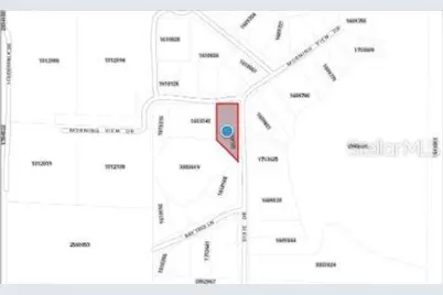 Morning View Drive, Paisley, FL 32767 - Photo 7